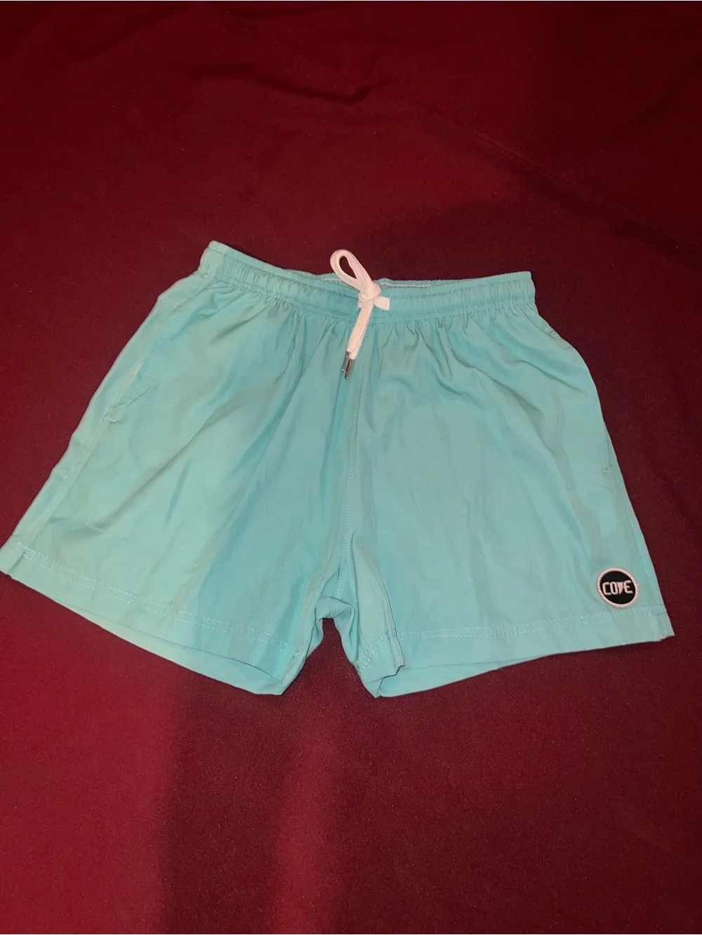 COVE brand mint green Swim Shorts size 28